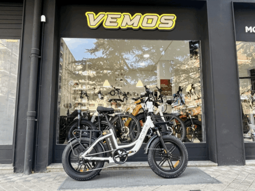 Engwe L20 Bicicleta eléctrica paso bajo fat bike 250W | 140 km autonomía, batería extraíble, neumáticos 20x4.0 - Imagen 5