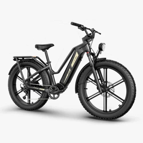 Fiido Titan Fat Tire Touring Ebike Bicicleta eléctrica de larga distancia | 250W, sensor de par y hasta 115 km autonomía