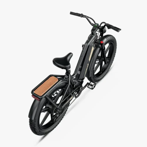 Fiido Titan Fat Tire Touring Ebike Bicicleta eléctrica de larga distancia | 250W, sensor de par y hasta 115 km autonomía - Imagen 2
