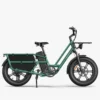 Fiido T2 Longtail Bicicleta eléctrica de carga | 250W, sensor de par y hasta 136 km autonomía