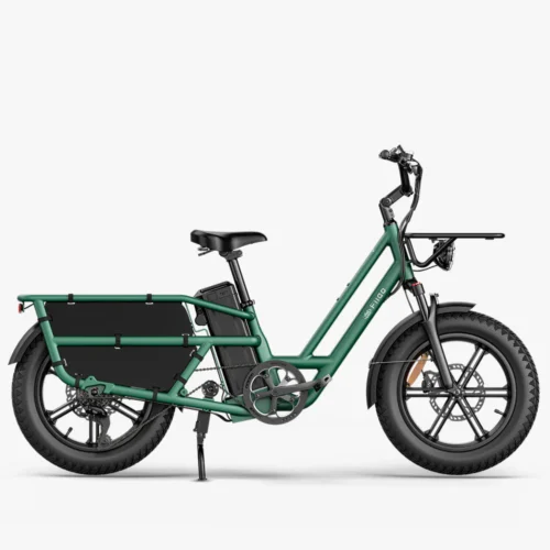 Fiido T2 Longtail Bicicleta eléctrica de carga | 250W, sensor de par y hasta 136 km autonomía